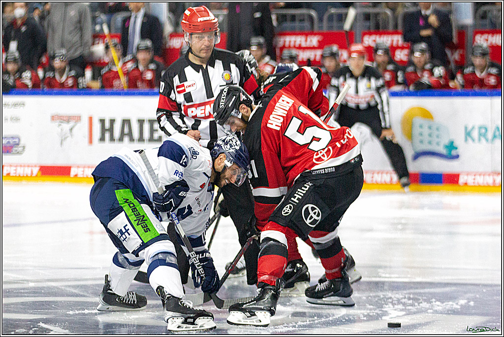 PENNY DEL;  Koelner Haie - Straubing Tigers; Koeln, 15.10.2021